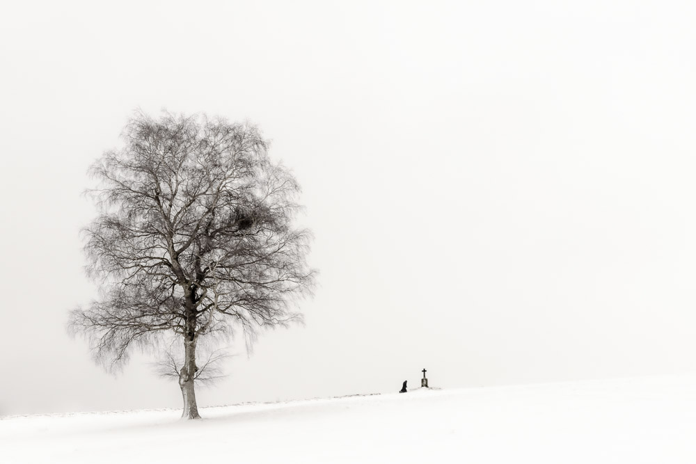 Monatsbilder Februar 2022